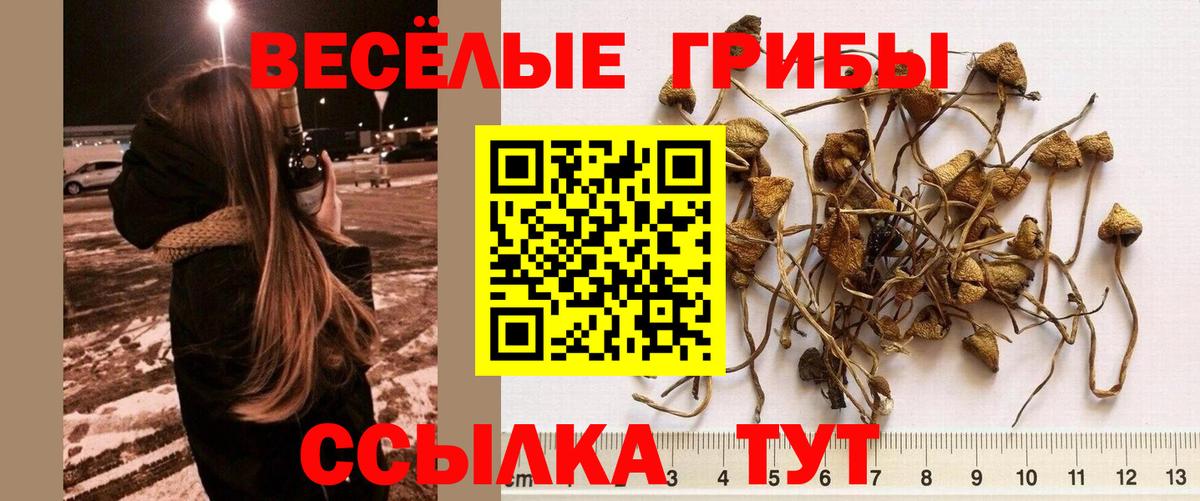 Галлюциногенные грибы MAGIC MUSHROOMS Арсеньев