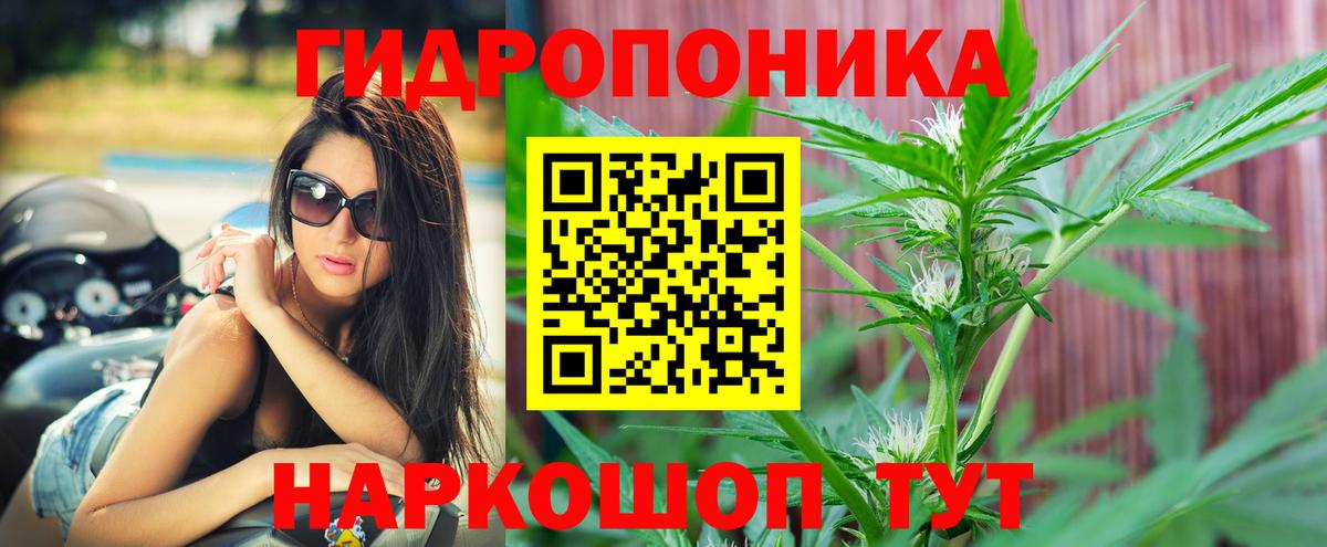 Бошки Шишки VHQ Арсеньев